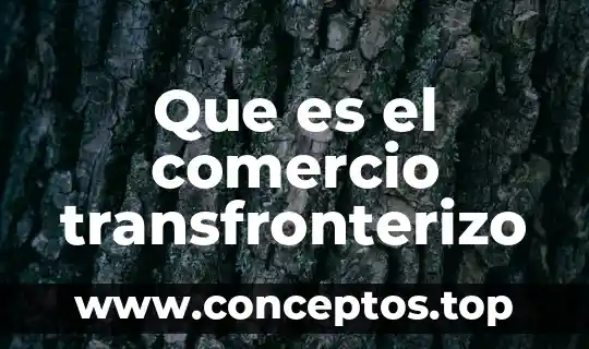 Que es el comercio transfronterizo