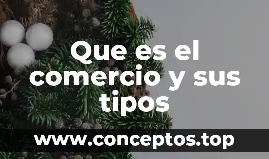 Que es el comercio y sus tipos