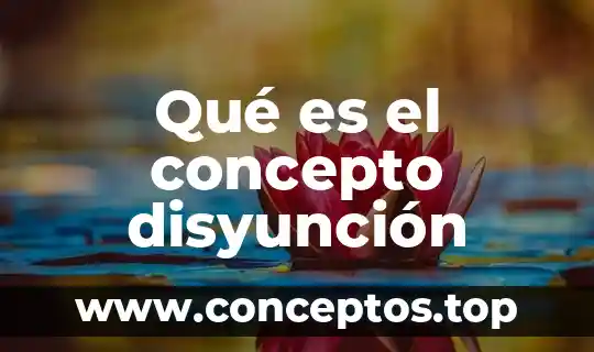 Qué es el concepto científico 3 Qué es el concepto disyunción