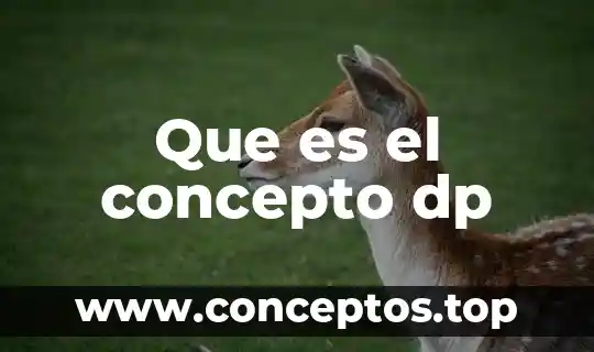 Concepto de lo que es quemador 8 Que es el concepto dp