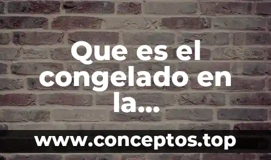 Que es el congelado en la conservacion de alimentos