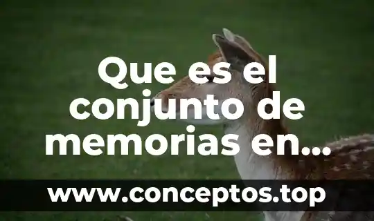 Que es el conjunto de memorias en obra