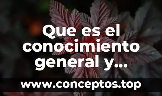 Que es el conocimiento y sus elementos basicos 5 Que es el conocimiento general y cultural genral