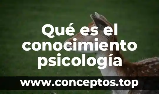 Qué es el conocimiento psicología