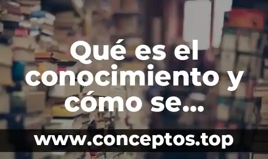 Qué es un número crítico y cómo se obtiene 6 Qué es el conocimiento y cómo se obtiene