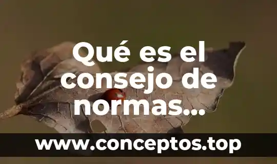 Qué es el consejo de normas internacionales de contabilidad