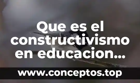 Qué es la inteligencia emocional y sus tipos preescolar 5 Que es el constructivismo en educacion preescolar