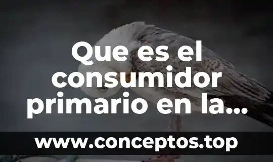 Que es el consumidor primario en la cadena alimenticia