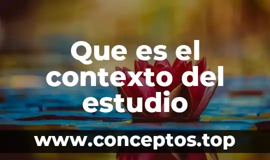 Que es el contexto del estudio