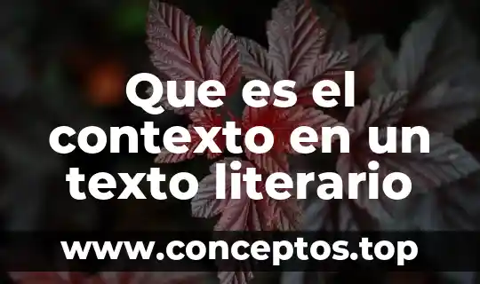 Que es el contexto en un texto literario
