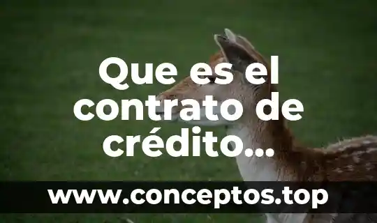 Que es credito mercantil yahoo 4 Que es el contrato de crédito refaccionario industrial