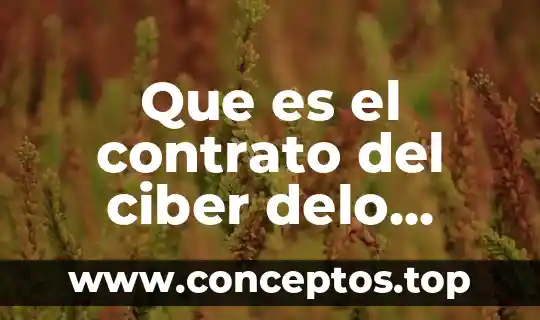 Que es el contrato del ciber delo control