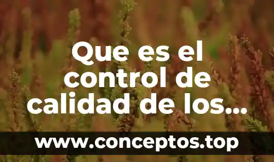 Que es calidad en la justicia 7 Que es el control de calidad de los procesos