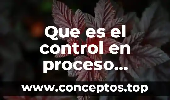 Que es el control en proceso administrativo