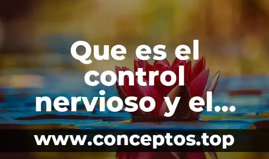 Que es el control nervioso y el control hormonal