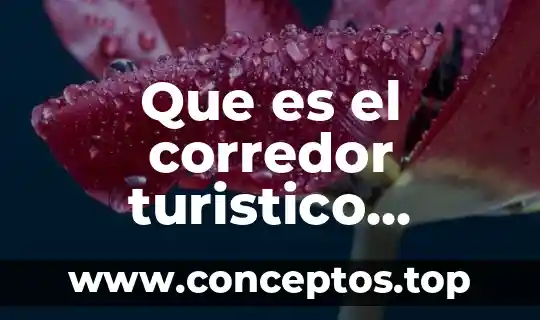Que es el corredor turistico mexico-nogales