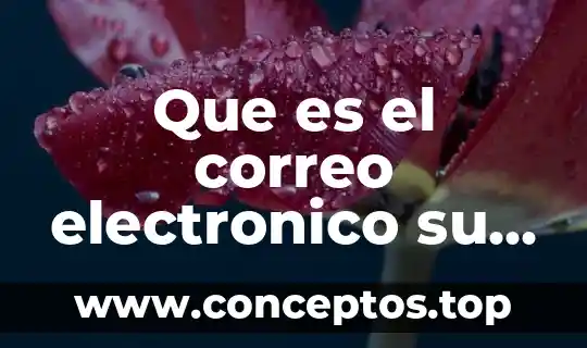 Que es el correo electronico su uso y su funcion