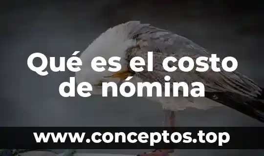 Que es el analisis de nomina 5 Qué es el costo de nómina