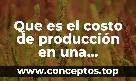 Que es el costo de producción en una campaña publicitaria