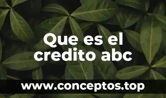 Que es el credito abc