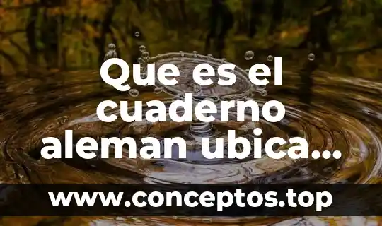 Que es espacios interdiginosos 3 Que es el cuaderno aleman ubica espacios