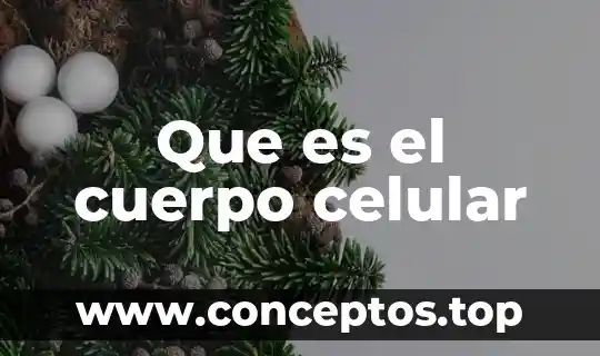 Que es cuerpo mente alma y espiritu 3 Que es el cuerpo celular