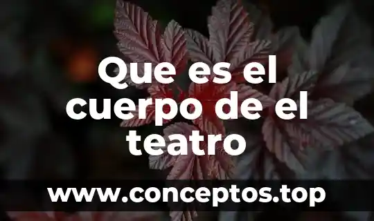 Que es el cuerpo de el teatro