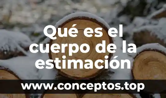 Qué es el cuerpo de la estimación