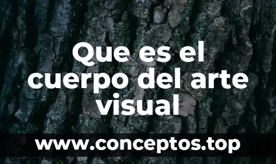 Que es el cuerpo del arte visual