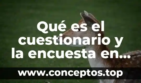 Qué es el cuestionario y la encuesta en psicología