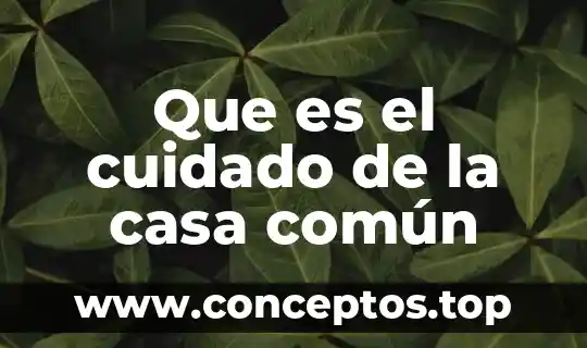 Que es el cuidado de la casa común