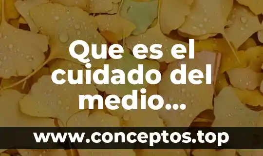 Que es el cuidado del medio ambiente resumen