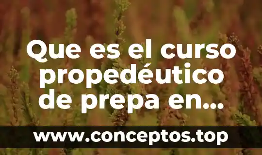 Qué es la conclusión del método científico 7 Que es el curso propedéutico de prepa en línea