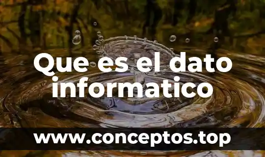 Que es el dato informatico