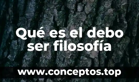 Qué es ser ahijado 4 Qué es el debo ser filosofía