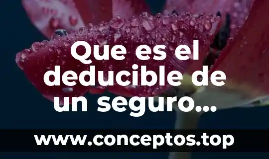 Que es el deducible de un seguro metlife