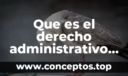 Que es el derecho administrativo para ignacio burgoa orihuela