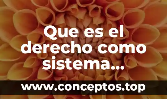 Que es bizantino en derecho 6 Que es el derecho como sistema normativo