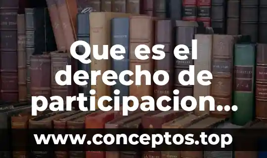 Que es el derecho de participacion activa y libre