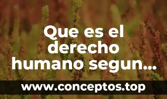 Para la filosofía que es el cuerpo humano 3 Que es el derecho humano segun hobbes rosseau