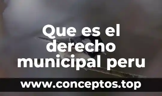 Que es firma digital peru 3 Que es el derecho municipal peru