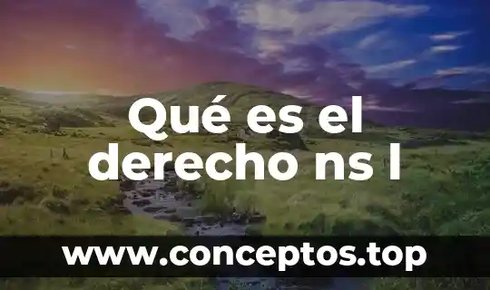 Qué es el derecho ns l