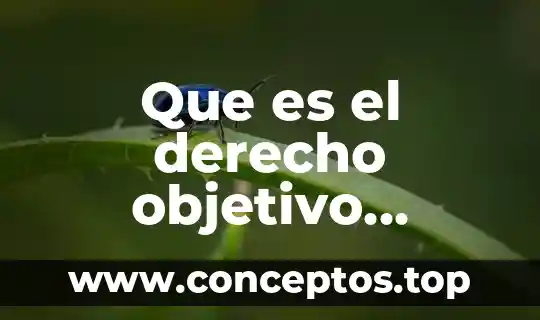 Que es el derecho objetivo interno publico