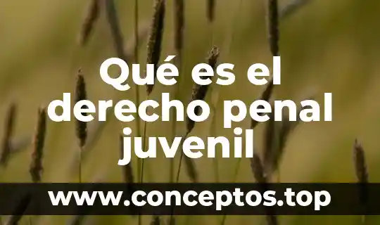 Que es el desistimiento en derecho penal 8 Qué es el derecho penal juvenil