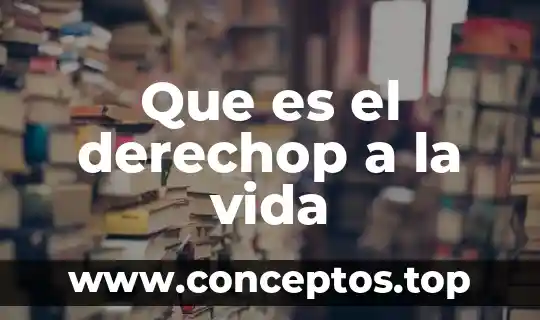 Que es el derechop a la vida