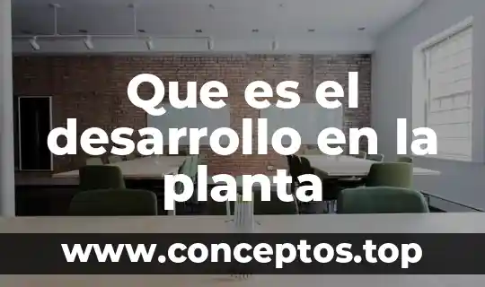 Qué es una planta fotovoltaica 4 Que es el desarrollo en la planta