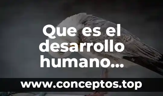 Para la filosofía que es el cuerpo humano 6 Que es el desarrollo humano integral segun autores