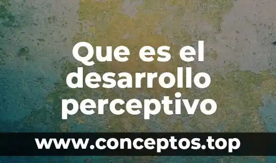 Que es el desarrollo perceptivo