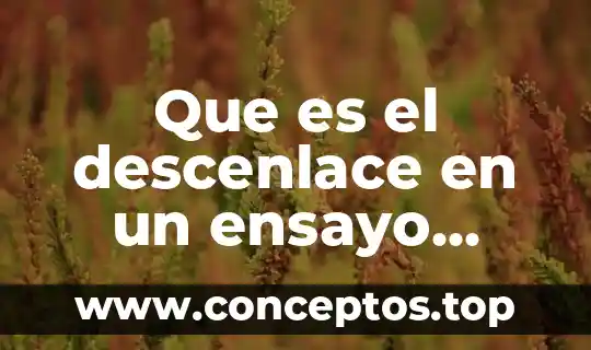 Que es el descenlace en un ensayo literario
