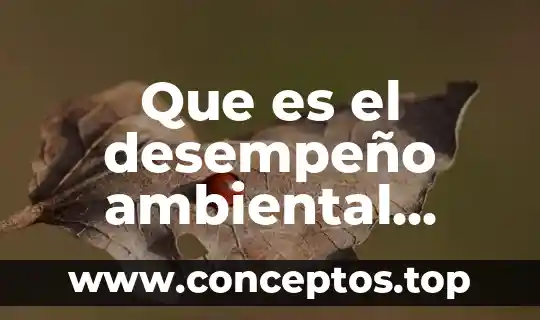 Que es el desempeño ambiental segun autores